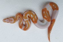 20180920_073408.jpg