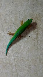 IMG_20171010_143722273.jpg