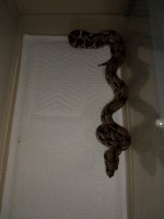IMG_20180826_184118802.jpg