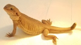 20180805_164407.jpg