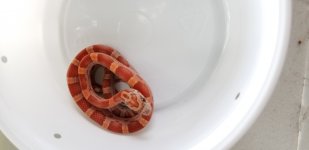 20180814_162449.jpg