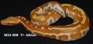 DSC_0214.jpg