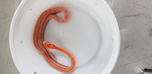 20180814_161645.jpg