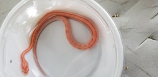 20180814_161631.jpg
