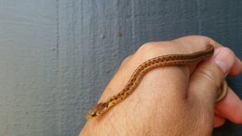 20180825_131541.jpg