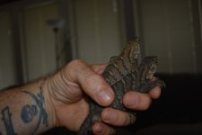 DSC_0066.jpg