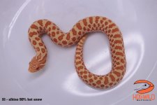 IMG_2765_labeled.jpg