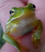 IMG_20171229_013519.jpg