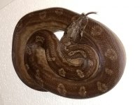 20181024_073842.jpg