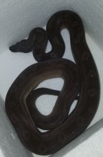20180907_141138.jpg