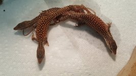 20180807_152131.jpg