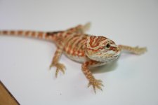 90A2A5E2-E6D4-42EE-85BC-85EEFC4CE6BA.jpg