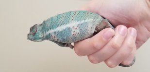 20180722_111220.jpg