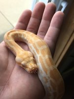 thumbnail_IMG_0675.jpg