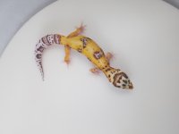 20180727_135226.jpg