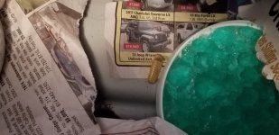 20180919_131613.jpg