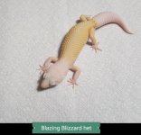 SmartSelectImage_2018-09-07-17-26-46.jpg