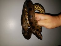 20180815_123711.jpg