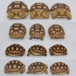 54D98DA8-AB29-45D6-993D-CDD2E69D9C6E.jpg