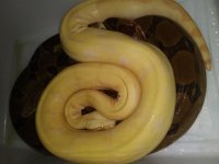 20180930_163340.jpg