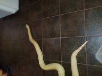 20180930_170139.jpg