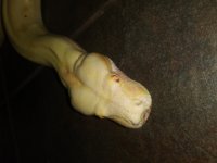 20180930_170203.jpg
