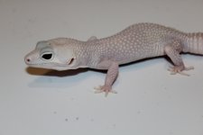 IMG_7676.jpg