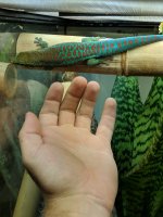 MVIMG_20180603_142140.jpg