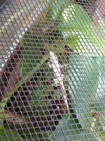 thumbnail_20180902_122930.jpg