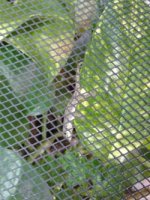 thumbnail_20180915_165543.jpg