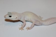 IMG_7683.jpg