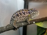 20180511_221714.jpg