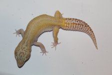 IMG_7625.jpg