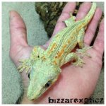 IMG_9314.jpg IMG_9314.jpg