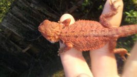 20180930_182823.jpg