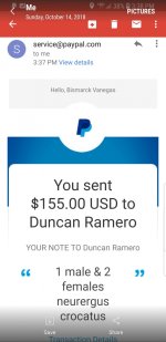 Duncan Ramero.jpg