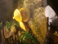 20181015_120158.jpg