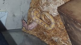20170425_000807.jpg