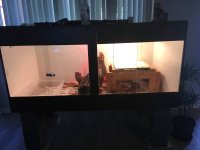 cage.jpg
