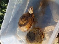 20180928_083145.jpg