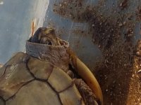 20180928_083305.jpg