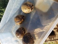 20180928_083011.jpg
