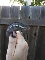 IMG_20181002_181447.jpg
