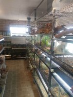side view of shop.jpg