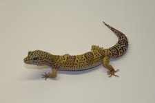 IMG_5680.jpg