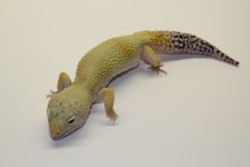IMG_5683.jpg