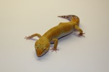 IMG_5690.jpg