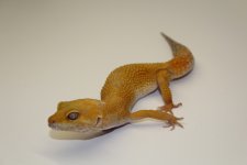 IMG_5687.jpg