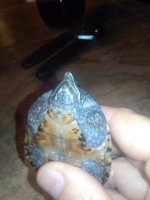 IMG_20180921_181840.jpg