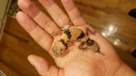 20180807_135612.jpg